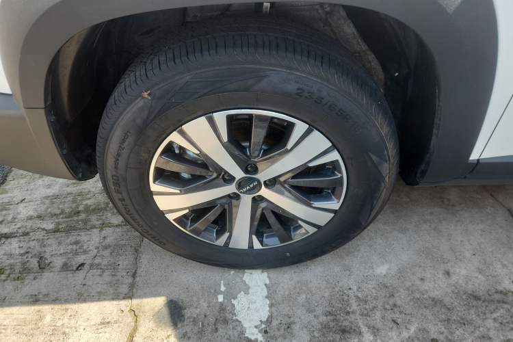 Used Haval DARGO 2022 1.5T DCT Two-Wheel Drive Labrador Edition
