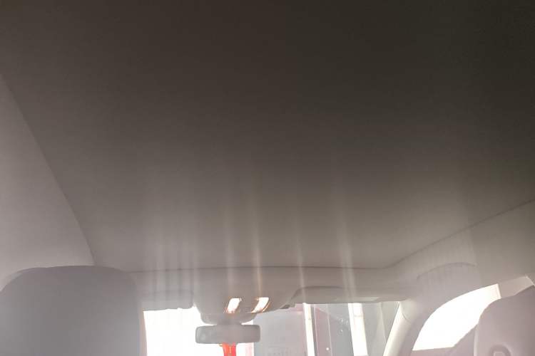 Used Mercedes-Benz GLS 2020 GLS 450 4MATIC Dynamic Edition Headliner