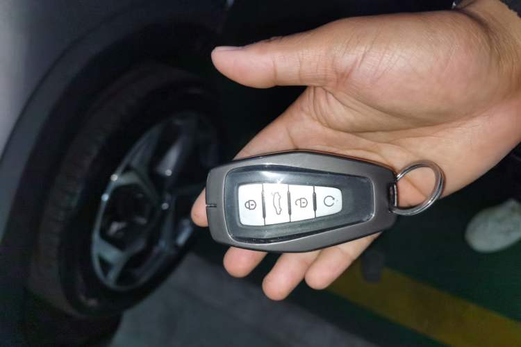 Used Geely Auto Monjaro L 2024 2.0TD DCT EVO Two-Wheel Drive Long-Range Version
