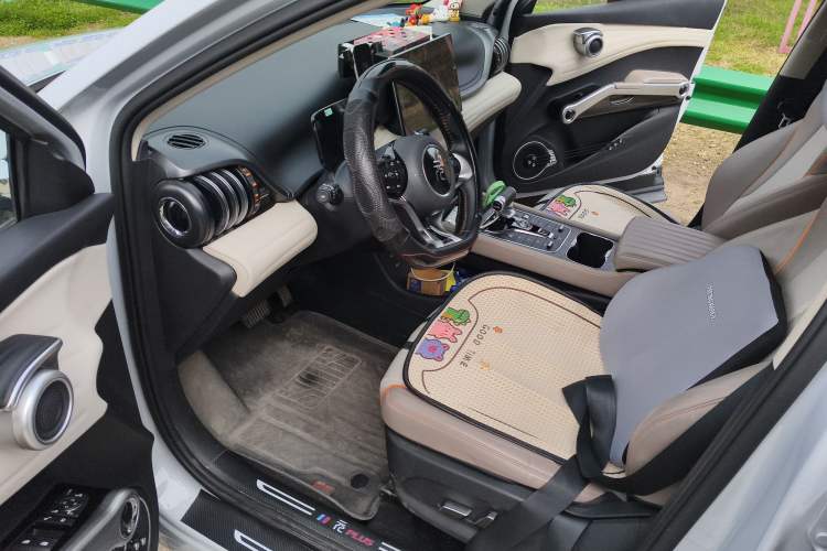 Used BYD Yuan PLUS 2023 Champion Edition 510KM Leading Model