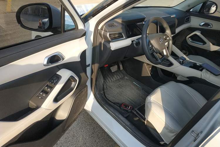 Used BYD Yuan UP 2024 401KM Leading Edition