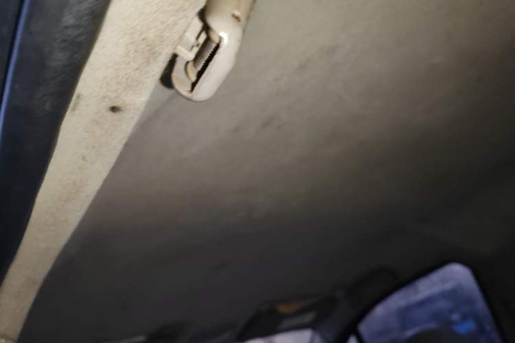 Used FORTHING Joyear 2012 XL 1.5L Manual Luxury Model Headliner