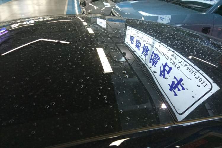 Used Tesla Model 3 2021 Standard Range Rear-Drive Upgraded Version Roof