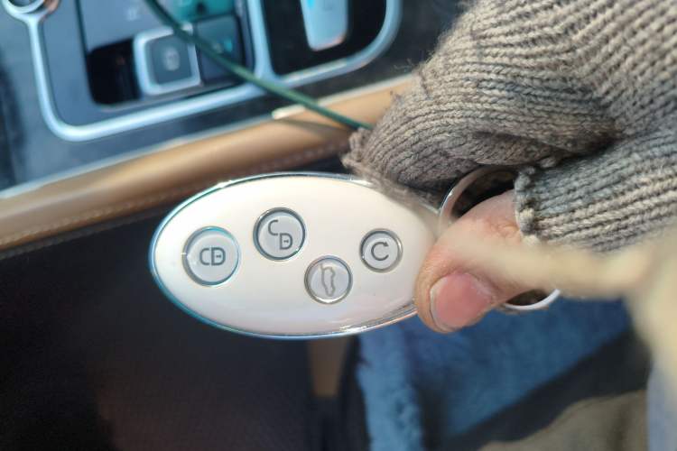 Used BYD Qin New Energy 2017 1.5T Luxury Model