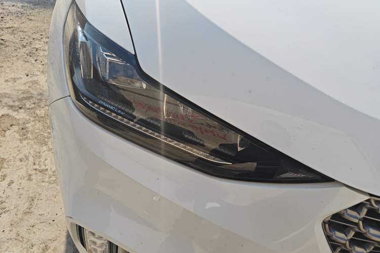 Used Wey VV6 2021 2.0T Two-Wheel Drive Smart Plus
