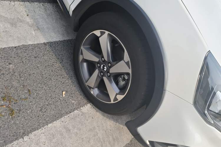 Used Ford Focus Active 2020 EcoBoost 180 Automatic Trendy Model