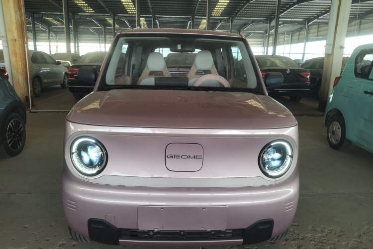 Used Geely Galaxy Panda 2023 Panda Mini 200km Endurance Bear Front