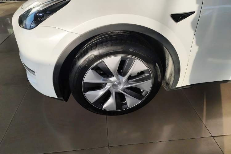 Used Tesla Model Y 2021 Standard Range Rear-Wheel Drive Version
