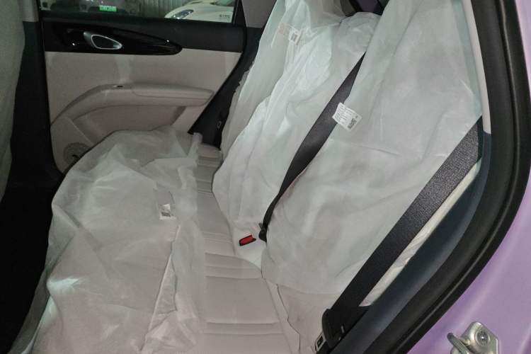 Used Geely Galaxy Geome 2026 Model 310km Youth Edition Left Rear Seat