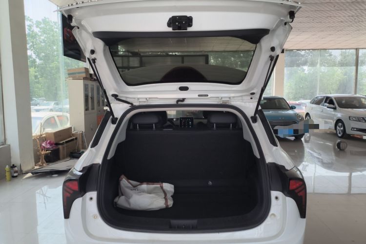 Used NETA V 2022 Long-Range Industry Custom Edition