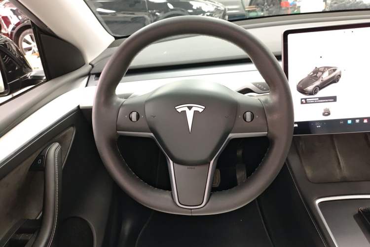 Used Tesla Model Y 2021 Standard Range Rear-Wheel Drive Version
