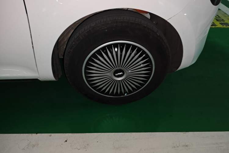 Used Qiyuan Lumin 2023 205km Xiangqin Version
