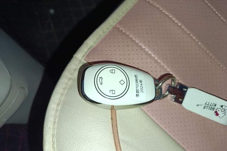 Used Leapmotor T03 2023 310 Lite Edition
