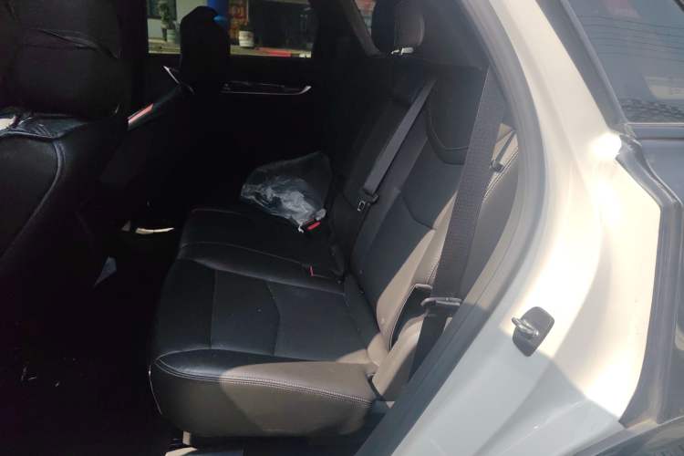 Used Cadillac XT5 2024 2.0T All-Wheel-Drive Luxury Version (Hummingbird Edition) Left Rear Seat