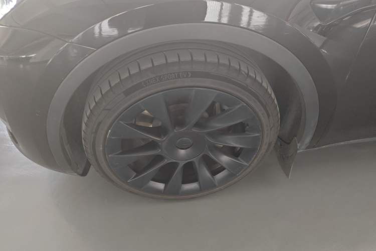 Used Tesla Model Y 2021 Standard Range Rear-Wheel Drive Version
