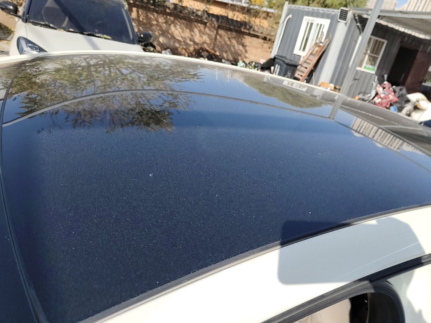 BYD Dolphin 2021 405 km Fashion Edition — снимка 7