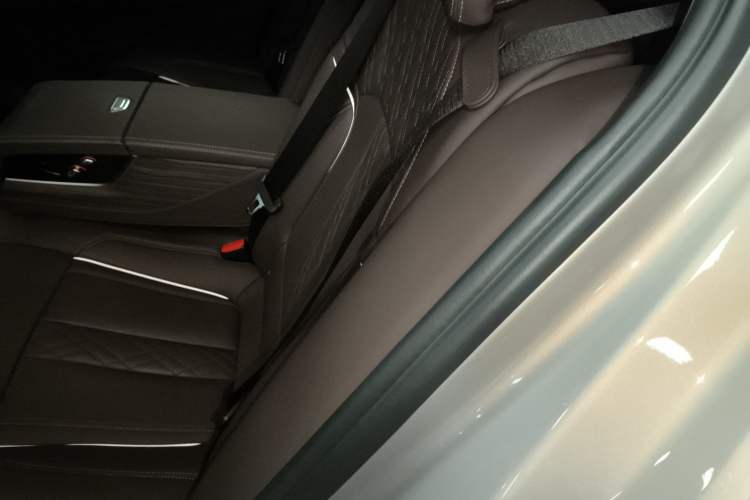 Used BMW 5 Series New Energy 2019 530Le Luxury Package Left Rear Seat