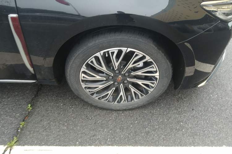 Used Hongqi H5 2024 2.0T Automatic Smart Connect Flagship Edition Exterior 4