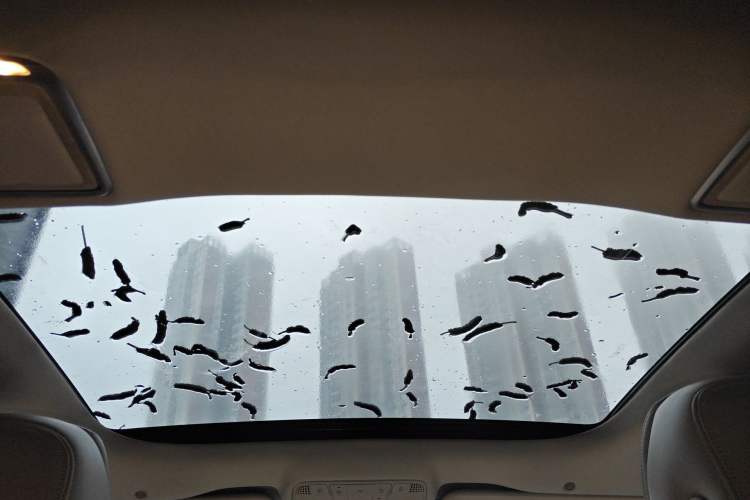 Used Mercedes-Benz E-Class 2022 Revised Version E 300 L Sport Luxury Edition Headliner