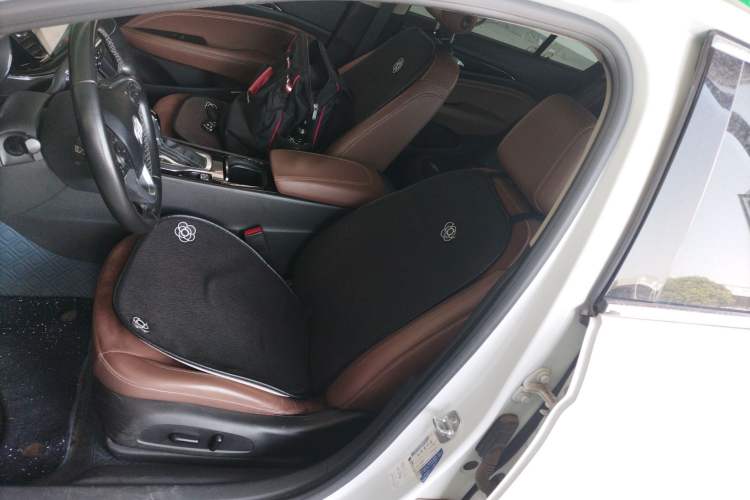 Used Buick Regal 2019 20T Elite Version China VI Standard