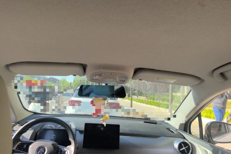 Used BYD Yuan Pro 2021 "Love for a Lifetime" Edition