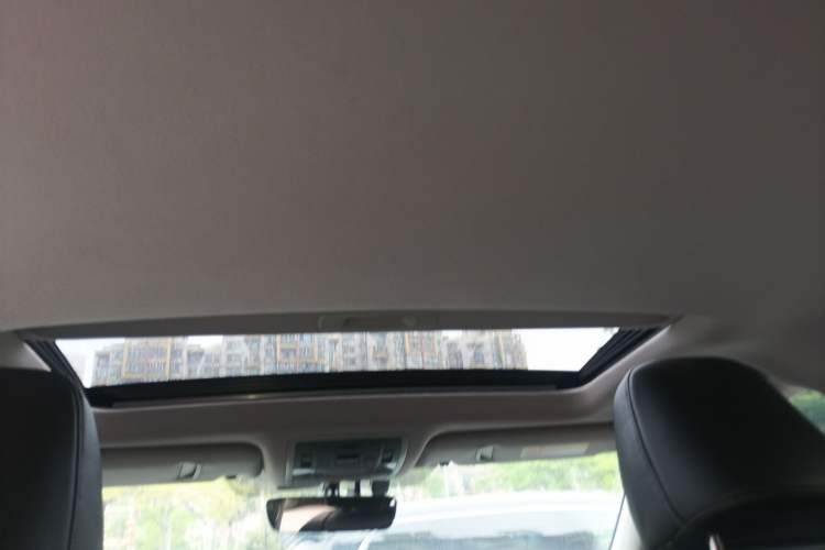 Used Lexus RX 2020 Revised Version 300 Two-Wheel Drive Elite Edition Headliner