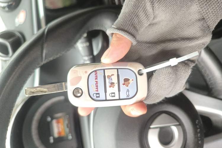 Used smart fortwo 2015 1.0L 52 kW Hardtop Passion Edition