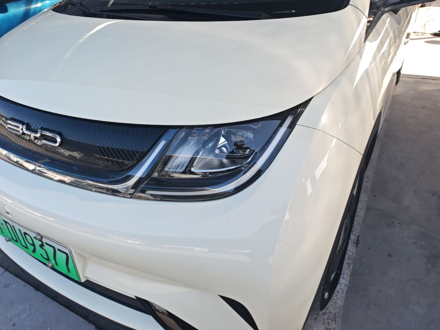 BYD Dolphin 2021 405 km Fashion Edition — снимка 8