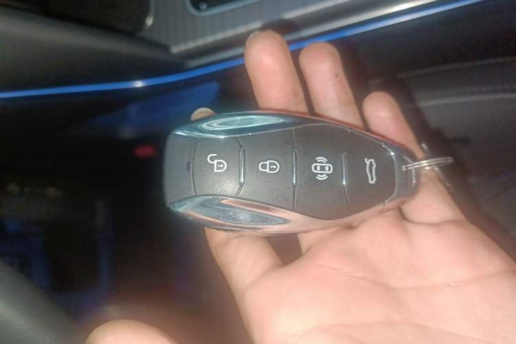 Used Hongqi HS7 PHEV 2024 2.0T PHEV Four-Wheel Drive Flagship Edition 6 Seats Interior 1