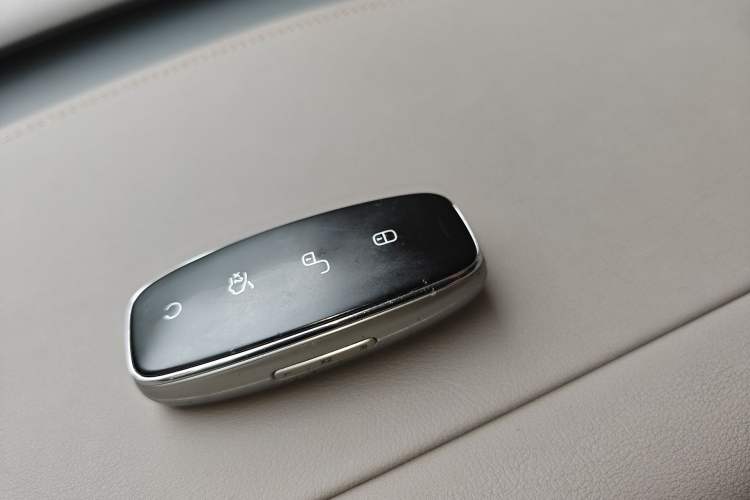 Used Denza D9 2022 DM-i 1040 Prestige Model
