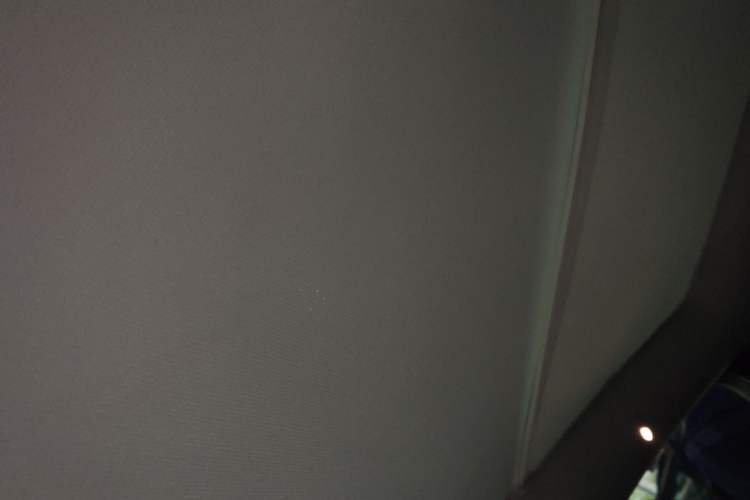 Used Tesla Model Y 2024 Long-Range All-Wheel-Drive Version Headliner