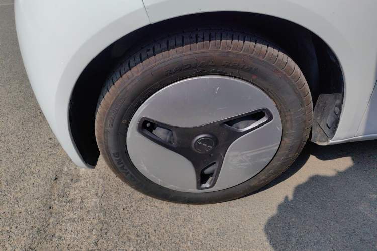 Used ORA White Cat 2020 360km Standard Version
