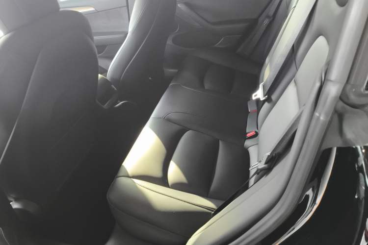 Used Tesla Model 3 2021 Standard Range Rear-Wheel Drive Upgraded Version 3D6