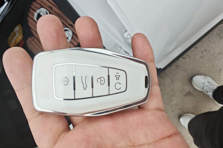 Used Geometry E Firefly 2023 401KM Linglong Tiger 5-Seater Vehicle Key