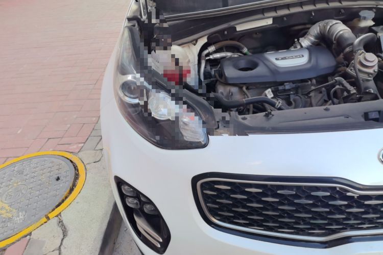 Used Kia KX5 2016 1.6T Automatic Two-Wheel Drive DLX Right Front Headlight