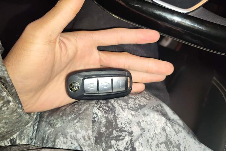 Used Venucia D60 2021 PLUS 1.6L XL CVT Yue Ling Edition Vehicle Key