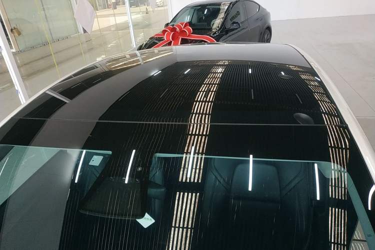 Used Tesla Model Y 2021 Standard Range Rear-Wheel Drive Version
