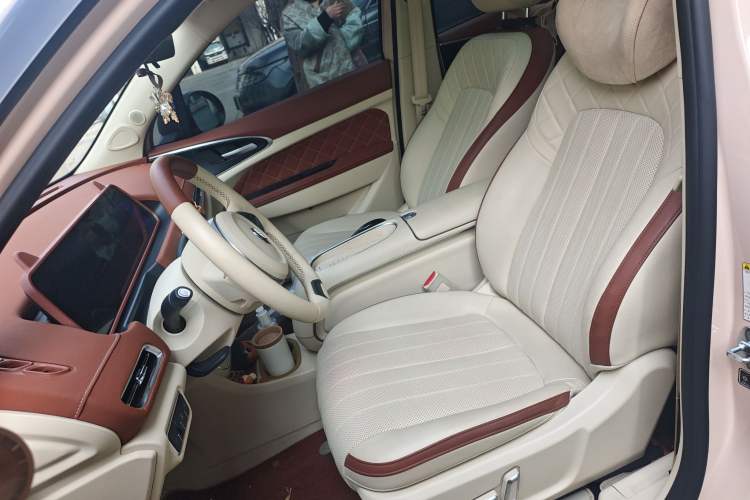 Used ORA Good Cat GT 2023 Mulan Edition 401km Prestige Version
