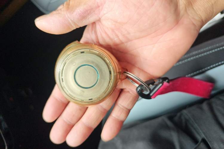 Used NETA V 2021 Standard Range Entertainment Version – Upgraded Model