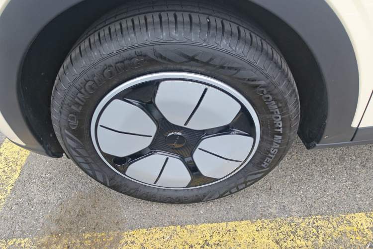 Used Geely Galaxy Geome 2025 310km Youth Edition