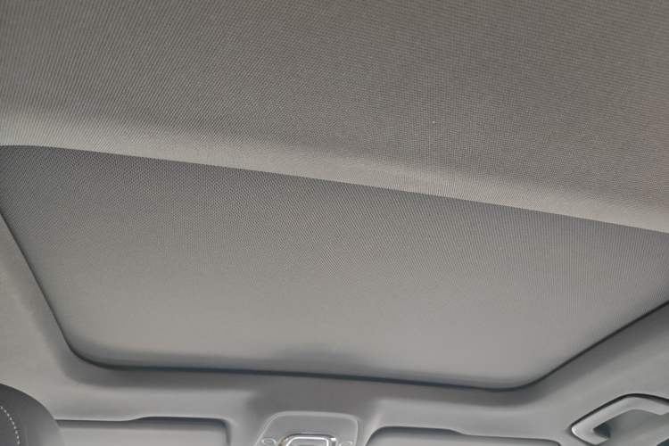 Used Audi A6L New Energy 2020 55 TFSI e quattro Headliner