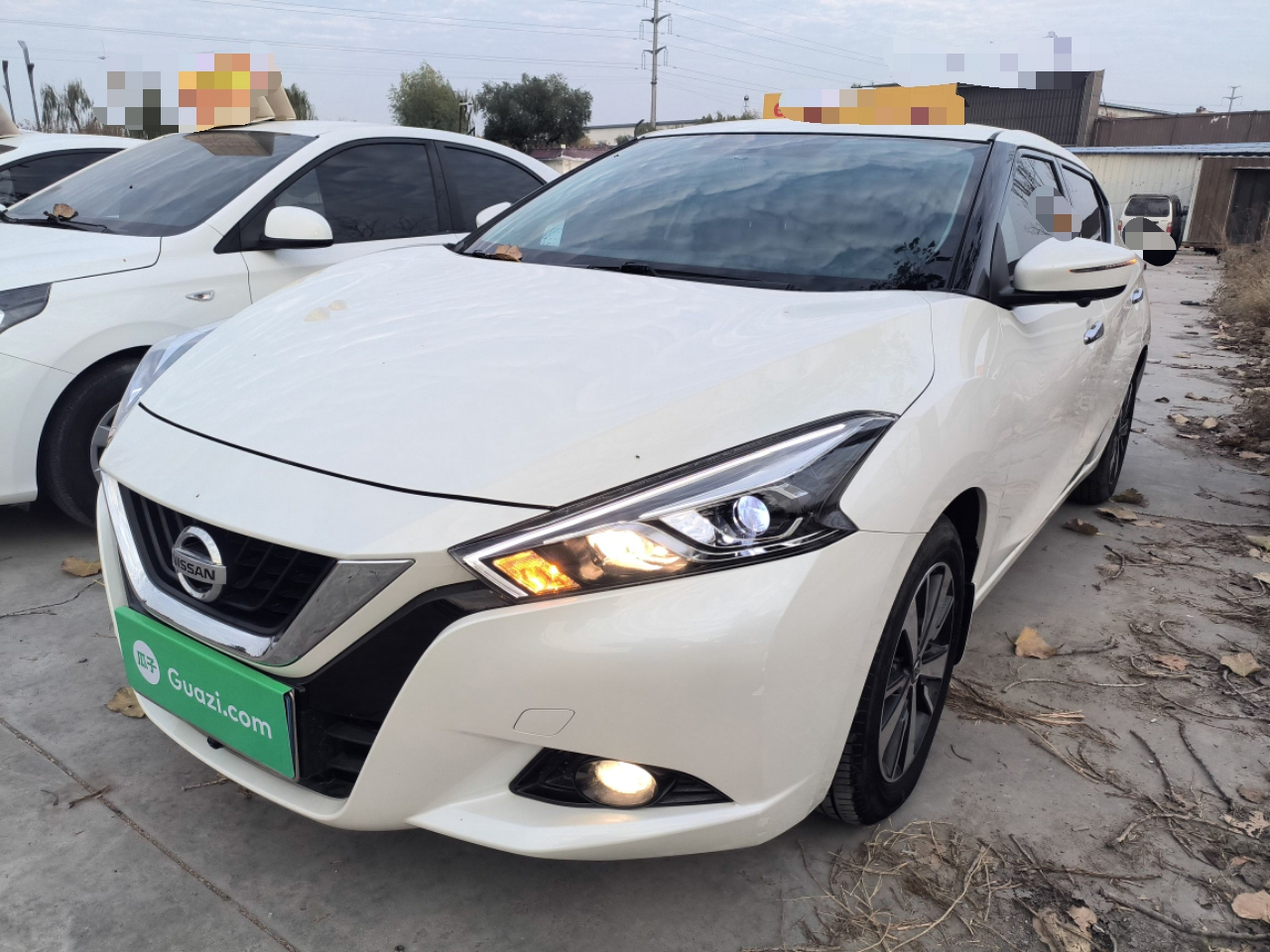 Under Front Bumper
