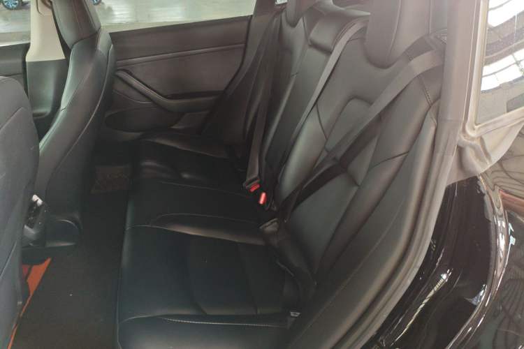 Used Tesla Model 3 2022 Rear-Wheel-Drive Version Left Rear Seat