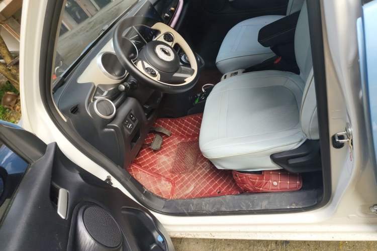 Used ORA Black Cat 2019 351 km Lingzhi Edition Left Front Seat