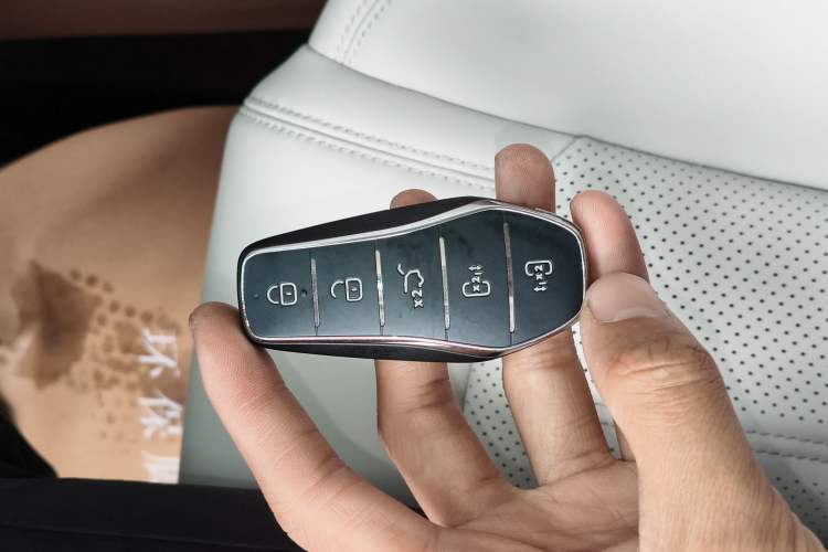 Used BYD Xia 2025 DM-i 1.5T 180km Excellence Model Interior 1