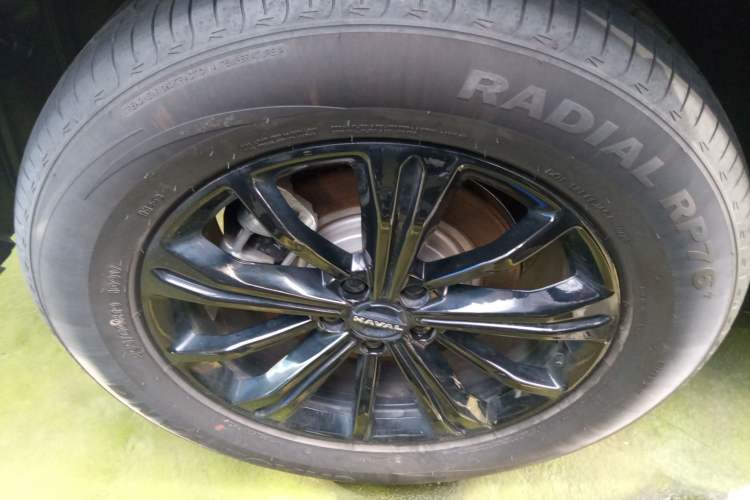 Used Haval Raptor New Energy 2024 Hi4 145 Cross-Over Edition Exterior 5