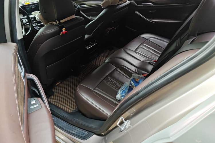 Used BMW 5 Series New Energy 2020 530Le Luxury Package Left Rear Seat