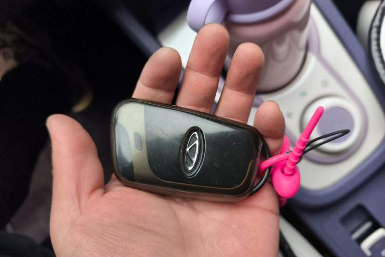 Used Chery Little Ant 2022 Me 301km Romance Phosphate Lithium-Iron Vehicle Key