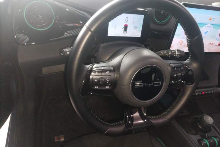 Used BYD Dolphin 2024 Honor Edition 420km Fashion Version Steering Wheel