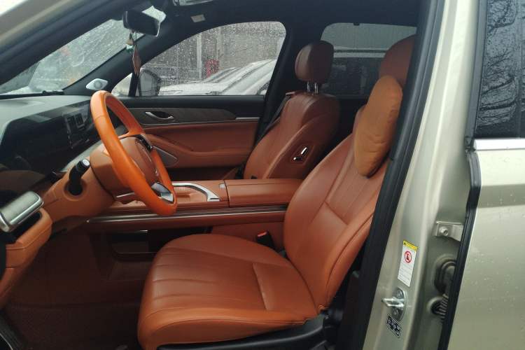 Used Wey Lanshan 2023 Four-Wheel Drive Ultra-Long Range Version Left Front Seat